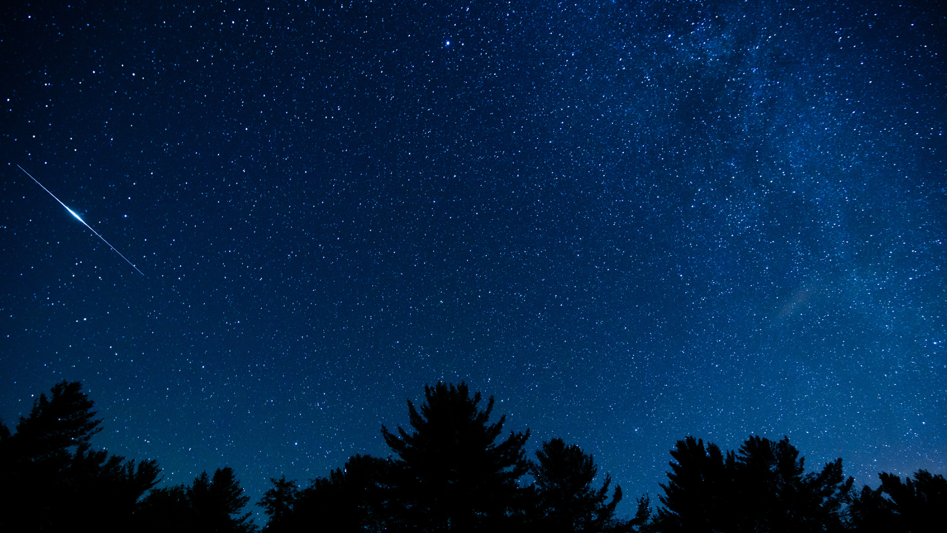 White streaks across a blue starry night sky show satellites with silhouettes of trees at the bottom of the image